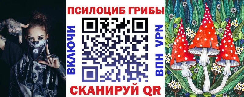 как найти закладки  кракен   Галлюциногенные грибы мицелий  Ульяновск 